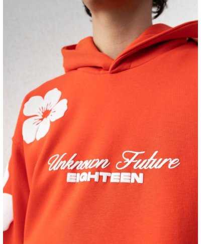 Felpa con cappuccio e stampa, arancio - Felpe online - Gogolfun.it