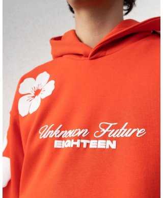 Felpa con cappuccio e stampa, arancio - Felpe online - Gogolfun.it