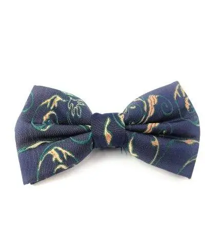 Papillon uomo blu e verde - Farfallino Princip