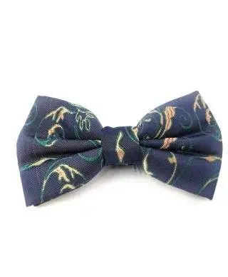 Papillon uomo blu e verde - Farfallino Princip