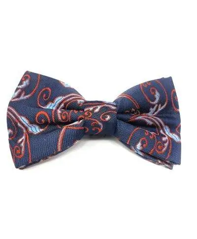 Papillon uomo grigio e blu