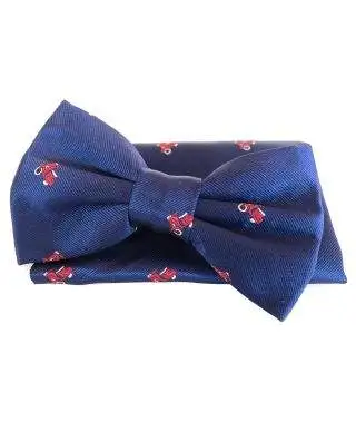 Papillon uomo - Blu - Fantasia vespe rosse - Con pochette