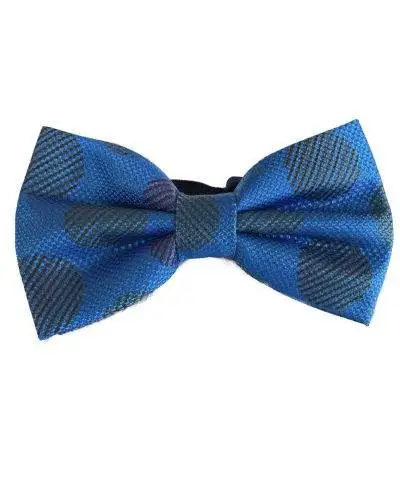 Papillon blu elettrico - Papillon Uomo con pochette - Papillon con pois grandi