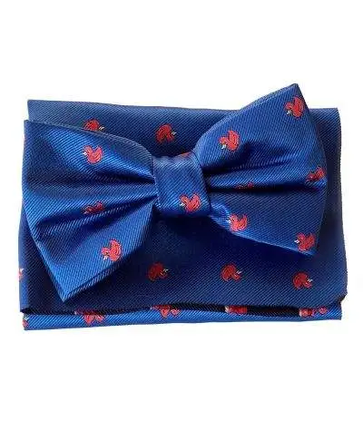 Papillon uomo - Blu -Fantasia paperelle rosse - Con pochette
